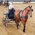 Lexington Carriage Classic